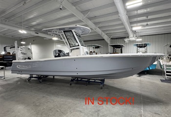 2027 Robalo 266 Cayman Alloy Gray  Boat